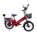 Bicicleta Eléctrica UNIZUKI (UN-EB01) (PROVINCIA) - Imagen 2