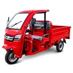 Triciclo Híbrido 60V / 45~52AH / 1500W