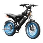 Bicicleta Eléctrica YOULON (SOLO HABANA)